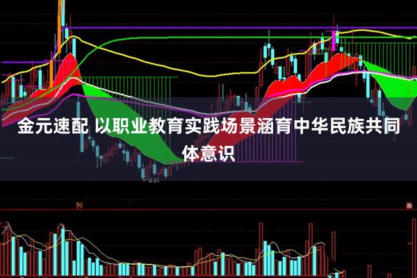 金元速配 以职业教育实践场景涵育中华民族共同体意识