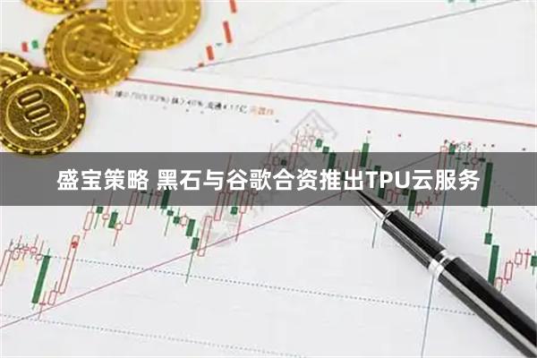 盛宝策略 黑石与谷歌合资推出TPU云服务