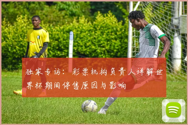 独家专访：彩票机构负责人详解世界杯期间停售原因与影响